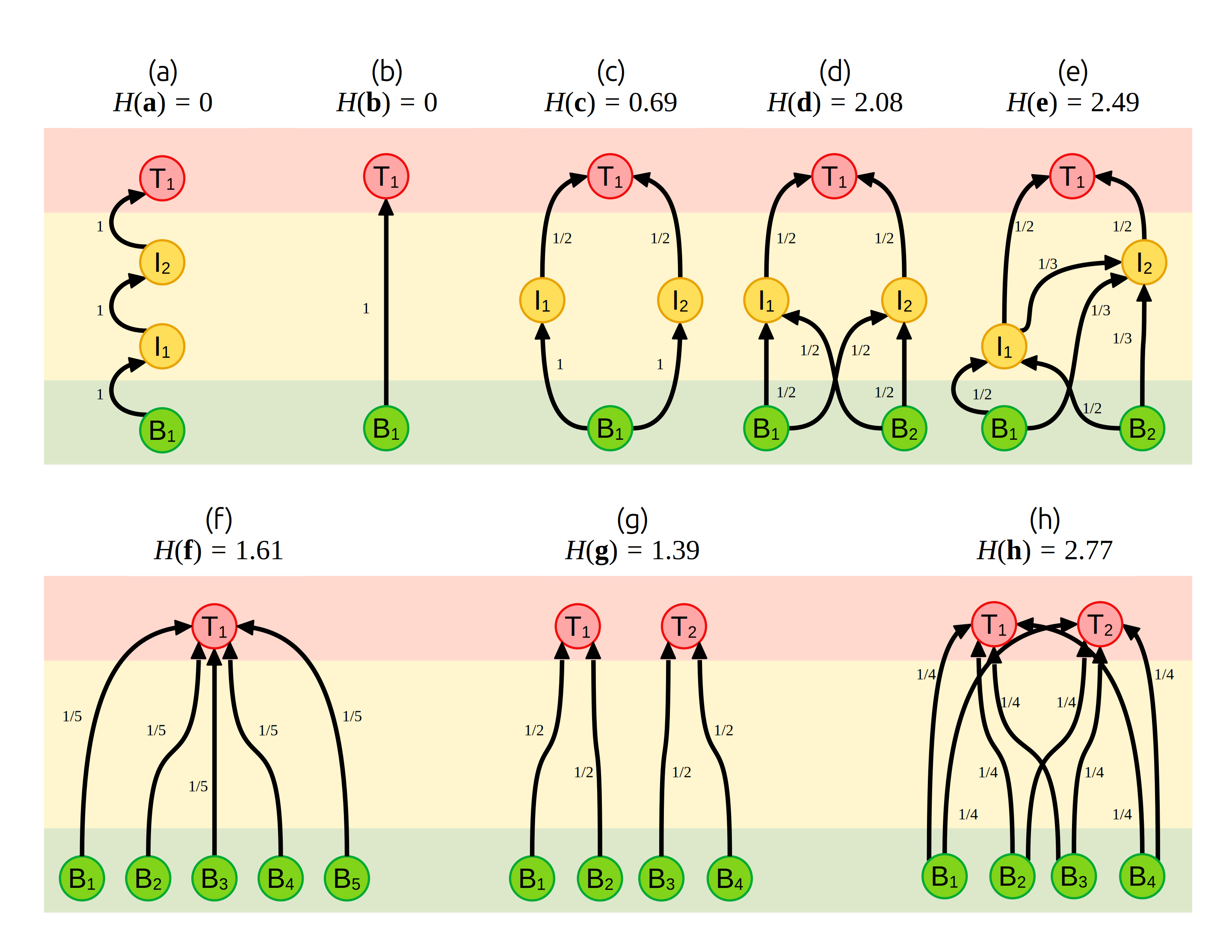 Трофічні мережі різної складності і їх стабільність, оцінена як індекс Шенона $H = - \sum_j p_{i, j} \log (p_{i, j})$ для трансферів енергії ($p_{i, j}$, числа біля стрілок). Базальні види позначено як $B$, проміжні види -- як $I$, й верхівкові хижаки -- як $T$. Нижній рядок (f--h) наводить три трофічні мережі із фіксованої кількості видів, $S = 6$.