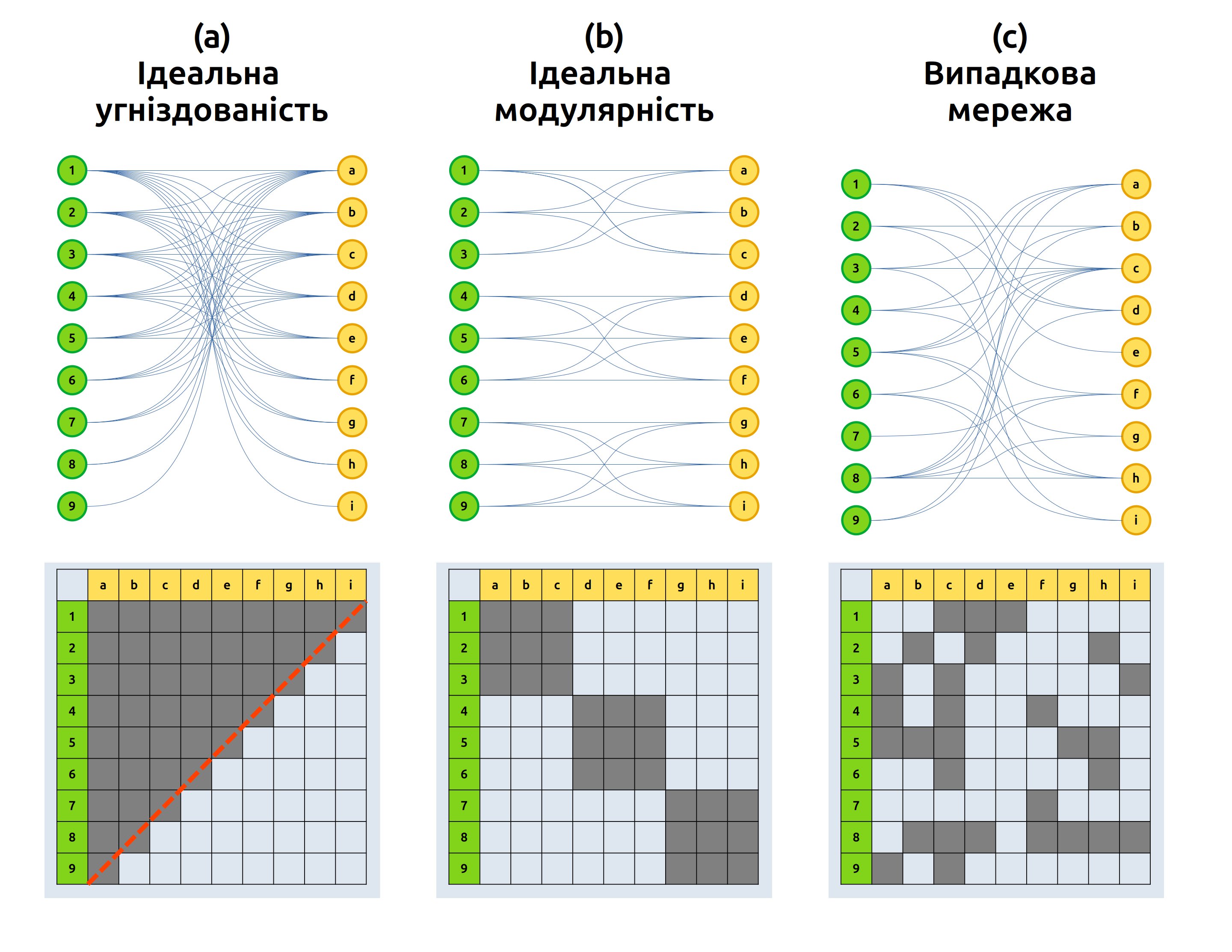 Попарні мережі із ідеальними ступенями угніздованості та модулярності. Реальні мережі виглядатимуть не настільки добре організованими, а, скоріше, десь посередені між ідеальною угніздованістю-модулярністю та випадковими зв'язками.